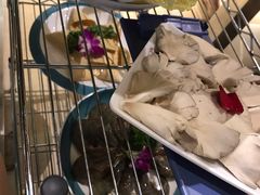 -青瓷火锅料理(西单大悦城店)