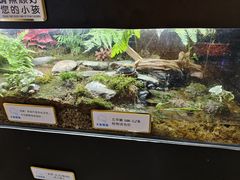-姑苏二十四集(iD PARK 歌林公园店)