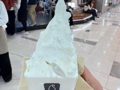 -野人先生Gelato(上海长宁龙之梦店)