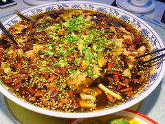 来凤鱼-新概念来凤鱼(璧山店)