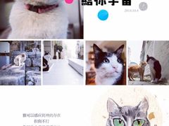 -博纳国际影城(乐和城店)