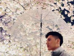 -东湖磨山景区樱花园-停车场