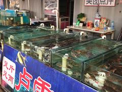 -南戴河海滨市场