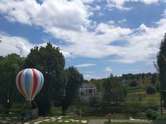 -铁山坪森林公园