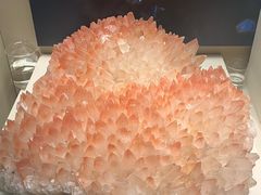 -天津自然博物馆