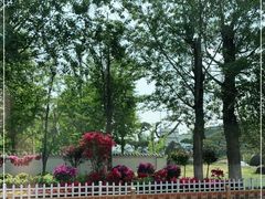 -罗红摄影艺术馆