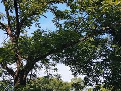 -终南山南五台景区