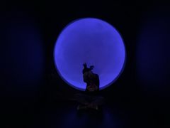 -苏州5D星空错觉艺术馆