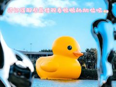 -深圳人才公园