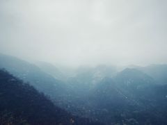 -大岭沟猕猴桃谷风景区