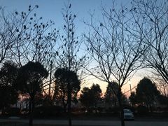 -深业半汤御泉庄温泉