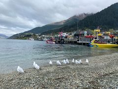 -Patagonia Chocolates(皇后镇店)