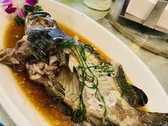 -糟粕醋·椰苑海南菜餐厅(亚龙湾天域酒店)