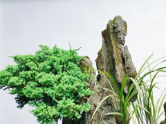 -成都杜甫草堂博物馆