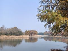 -贡湖湾湿地公园