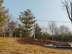 -北坞公园