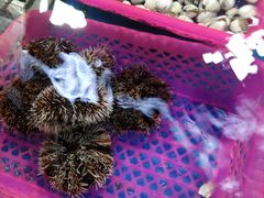 -四川小胡子海鲜(丁村万人海鲜广场店)