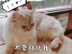 -月迷津渡(吾悦国际店)