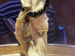 深海黄金蚝-千岛蚝高压锅生蚝·人参火锅(白云万达店)