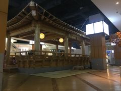 -丽池宫韩式汗蒸会馆(华灯坊店)