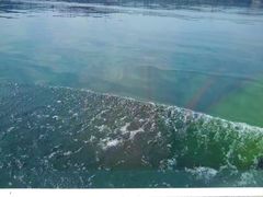 -仙海旅游度假区