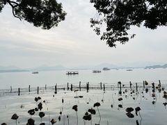 -湖畔居茶楼(湖滨店)