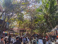 -海南分界洲岛旅游区