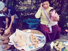 -西双版纳傣族园
