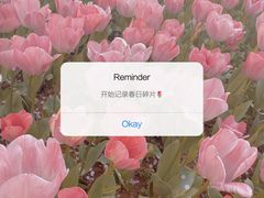-苏州上方山国家森林公园
