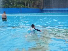 -亚马逊丛林水乐园