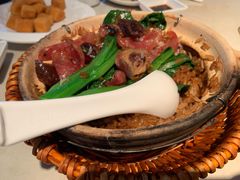 -肥仔文澳门猪骨煲(南京西路店)