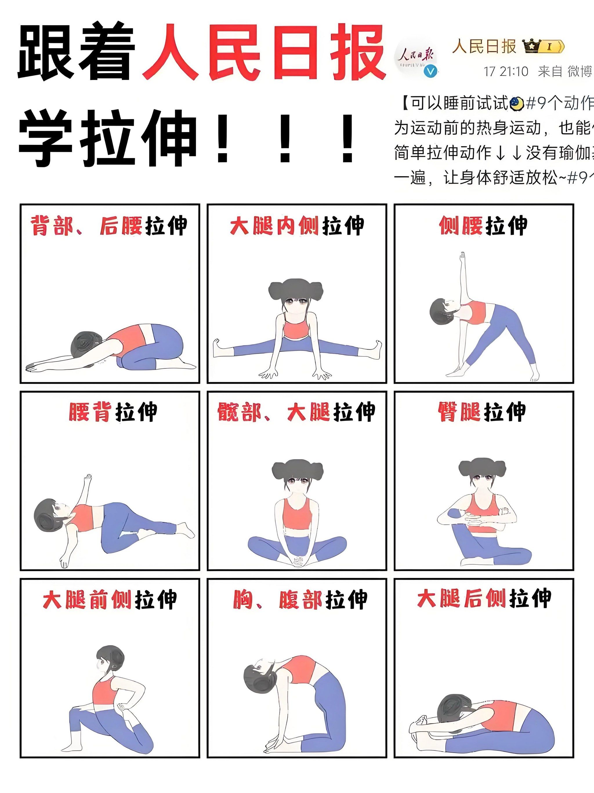 全网最权威的拉伸动作