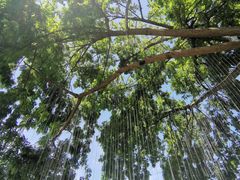 -古堰画乡景区