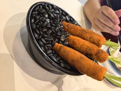 -丁老爷子苏香圆