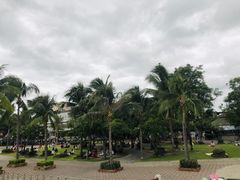 -芭提雅海鲜市场