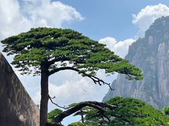 -黄山风景区