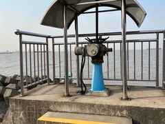 -上海滨江森林公园