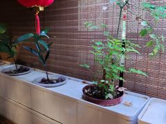 -望京一号·重庆江湖菜(工体店)