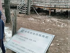 -蟠龙山长城景区