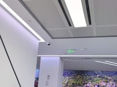 -极简口腔(总院)