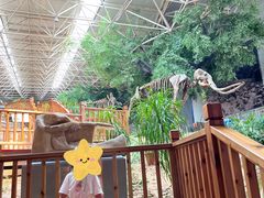 -中国第四纪冰川遗迹陈列馆