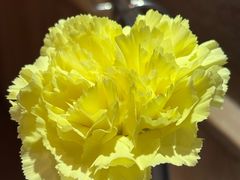 -Steaking·食间牛排(和平店)