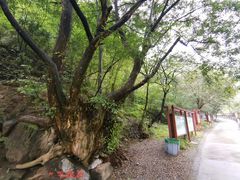 -孤山寨风景区
