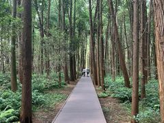 -同里国家湿地公园