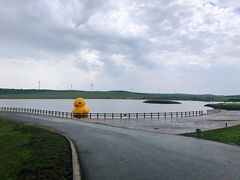-御道口草原森林风景区