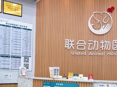 -联合动物医院(光谷诊疗中心)