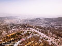 -定都阁