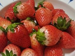 -东方鼎信农副产品交易中心