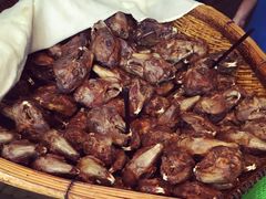 -邓氏兔头