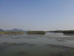 -湖鲜楼